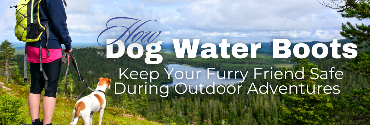 How Dog Water Boots Keep Your Furry Friend Safe During Outdoor Adventures