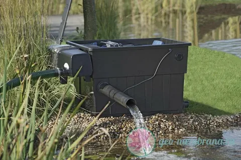 Intelligent Filtration for Clear, Low-Maintenance Ponds