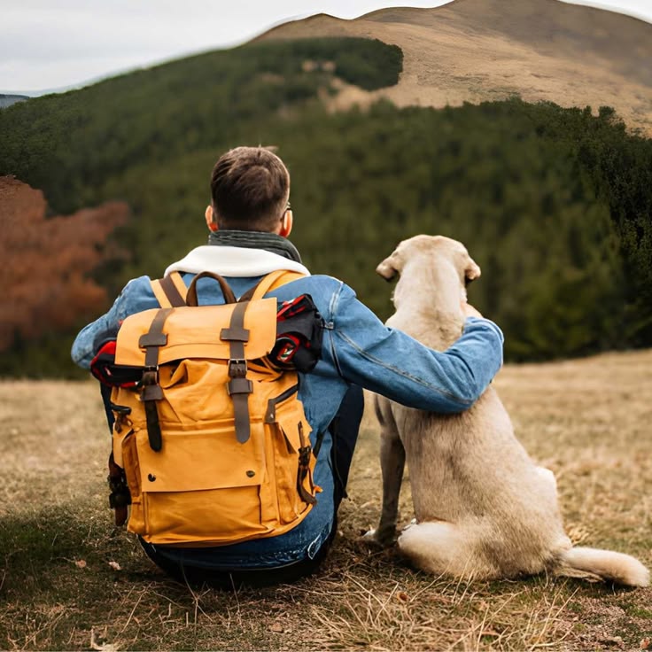 From Open Lawns to Forest Trails: Safe and Confident Outdoor Adventures with Your Dog