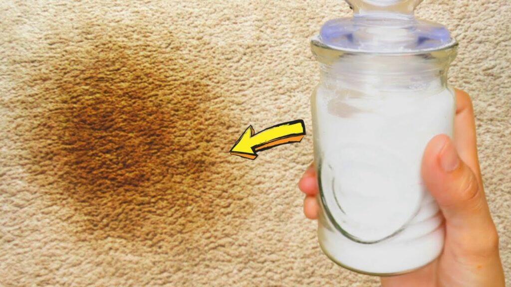 All-Natural Solutions for Pet Stains on Carpets