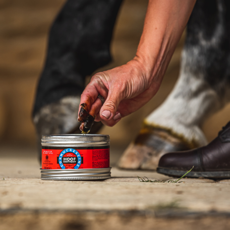 The Hoof Care Artisan