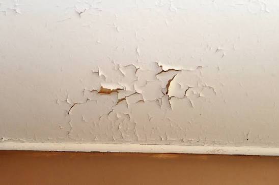 Problems With Plaster: Common Issues, Causes, and Solutions